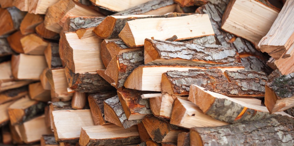 Clean Sweep choosing firewood